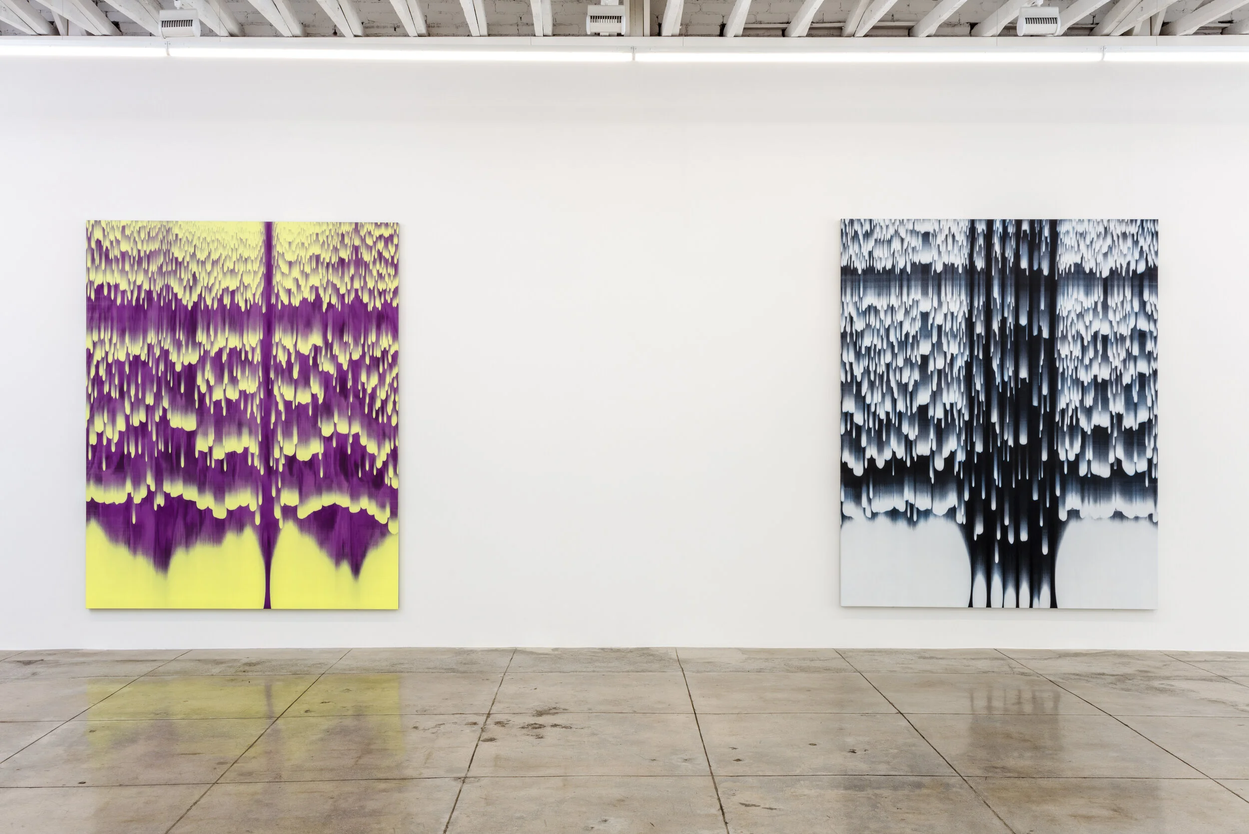 Stanley Casselman, 15 Degrees of Entropy — Lowell Ryan Projects